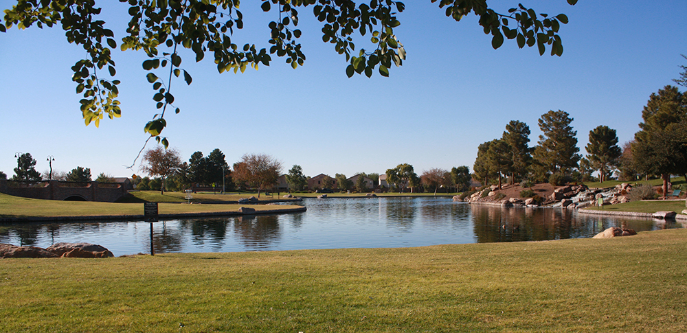 Maricopa Meadows Park