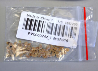 USDA Bad Seed China