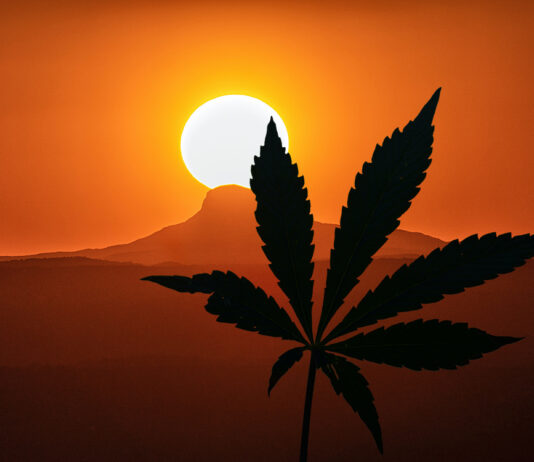 Marijuana in Arizona