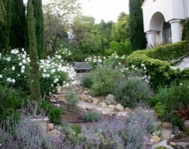 Choosing the right garden style usually driven by time, money and space