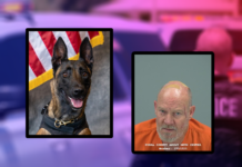 K9 Karma and Lawrence Bronson [MPD and PCSO/graphic]