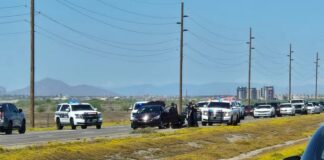 Phoenix police stop a stolen vehicle on April 20, 2024. [Facebook]
