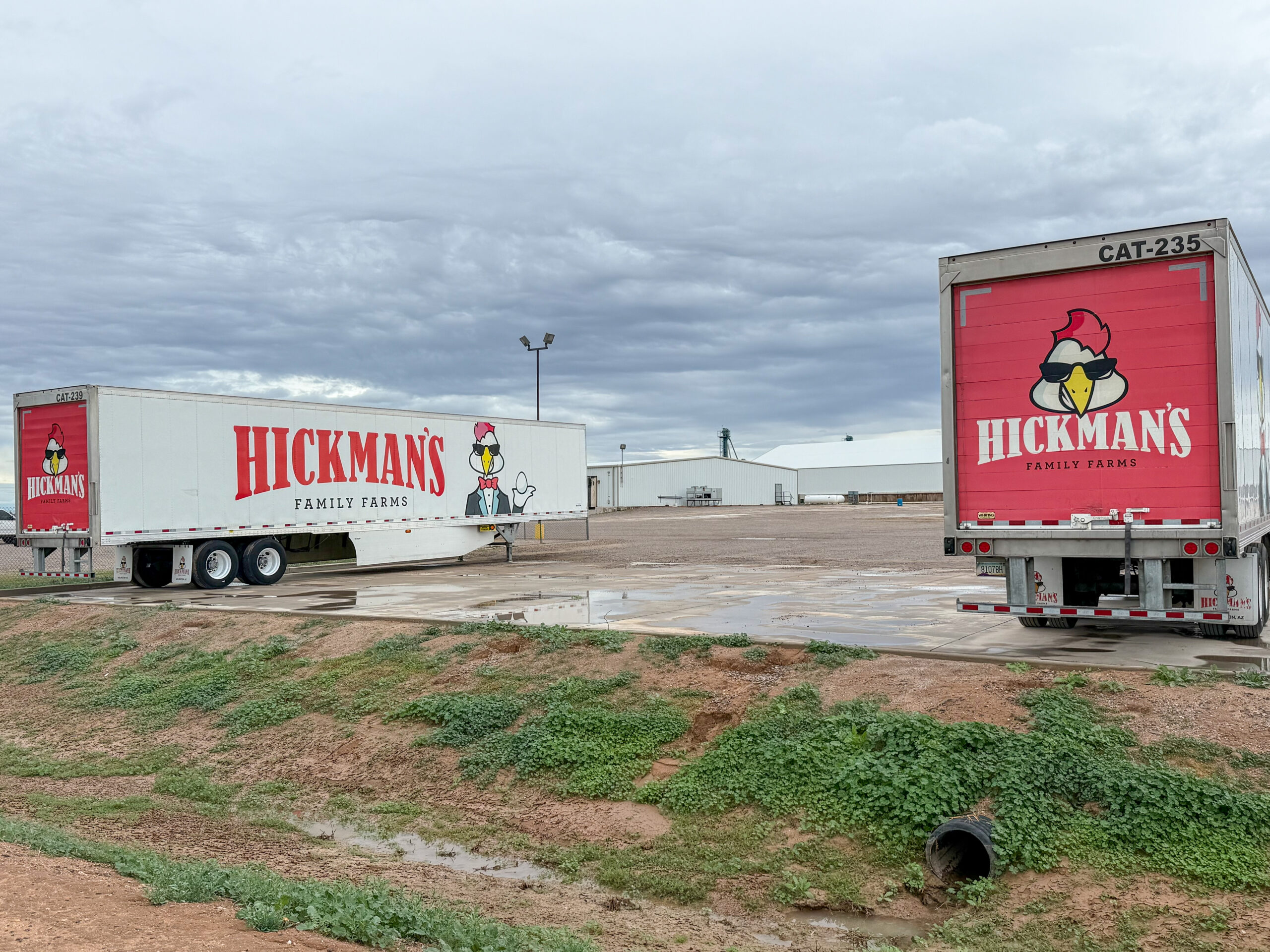 Hickman’s sale to Brazilian firm ends decades of family ownership at Maricopa egg facility